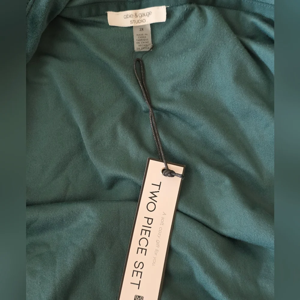 Cable & Gauge Botanical Garden Green Velour Hoodie Jogger Set, Size 2X - Picture 7 of 9